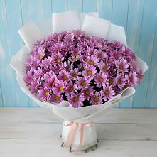 Букет цветов из:  Хризантемы в Белая глина