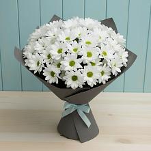 Букет цветов из:  Хризантемы #REPLACE_PRED# Белая глина