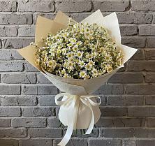 Букет цветов из:  Ромашки в Белая глина