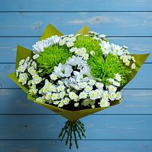 Букет цветов из:  Хризантемы в Белая глина