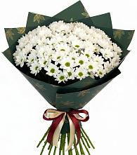 Букет цветов из:  Хризантемы в Белая глина