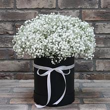 Цветочная композиция из Гипсофила в шляпной коробке #REPLACE_PRED# Белая глина