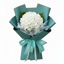 Букет цветов из:  Гортензия в Белая глина